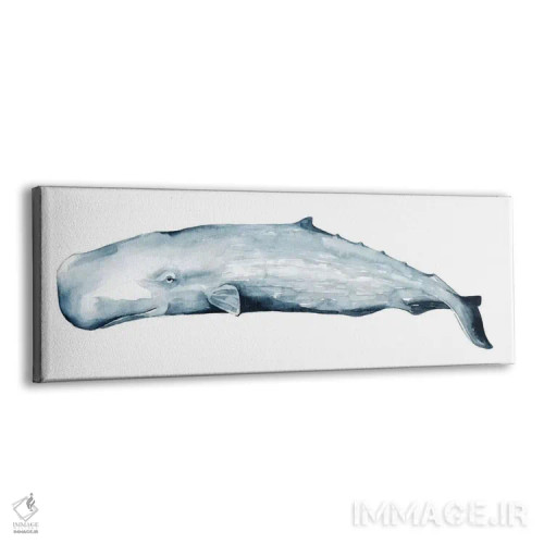 تابلو دکوراتیو پرتره نهنگ دوم اثر گریس پاپ - نمای پرسپکتیو محصول