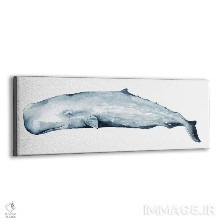 تابلو دکوراتیو پرتره نهنگ دوم اثر گریس پاپ - نمای پرسپکتیو محصول
