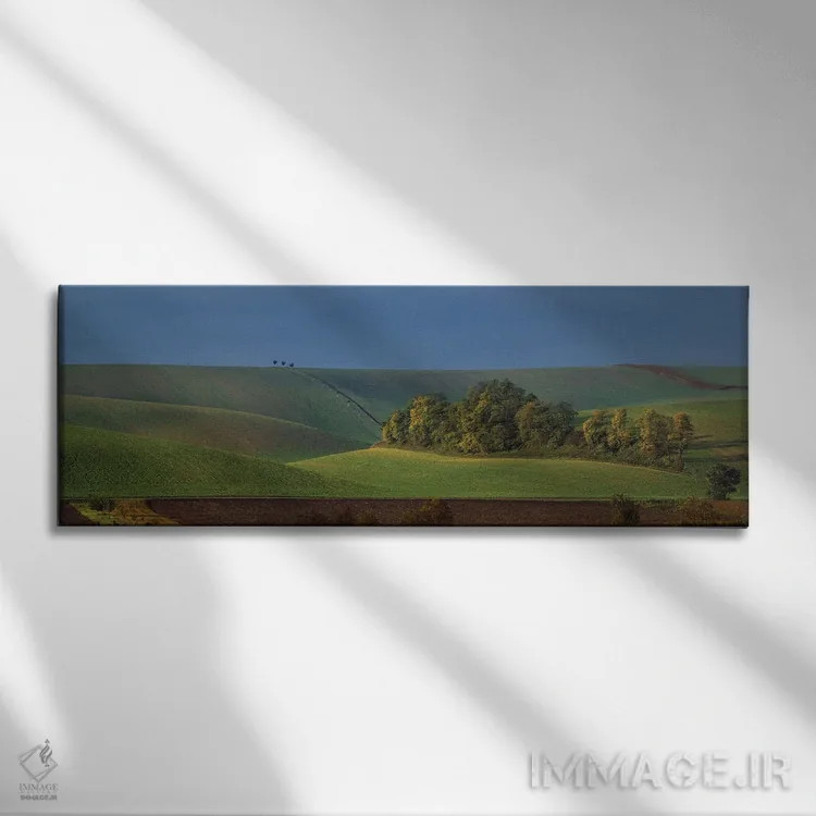 تابلو دکوراتیو جزیره اثر پاول اوسکین - نمای روبهرو روی دیوار