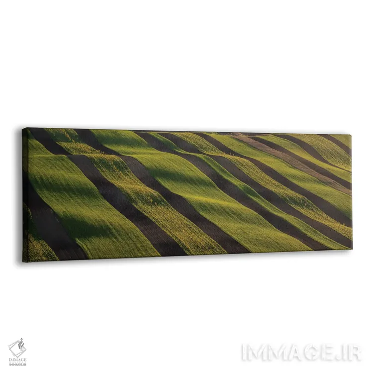 تابلو دکوراتیو راه راه های زیستی ۲ اثر پاول اوسکین - نمای پرسپکتیو محصول