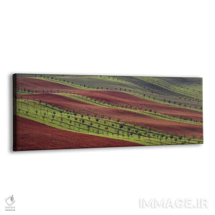 تابلو دکوراتیو راه راه های زیستی ۱ اثر پاول اوسکین - نمای پرسپکتیو محصول