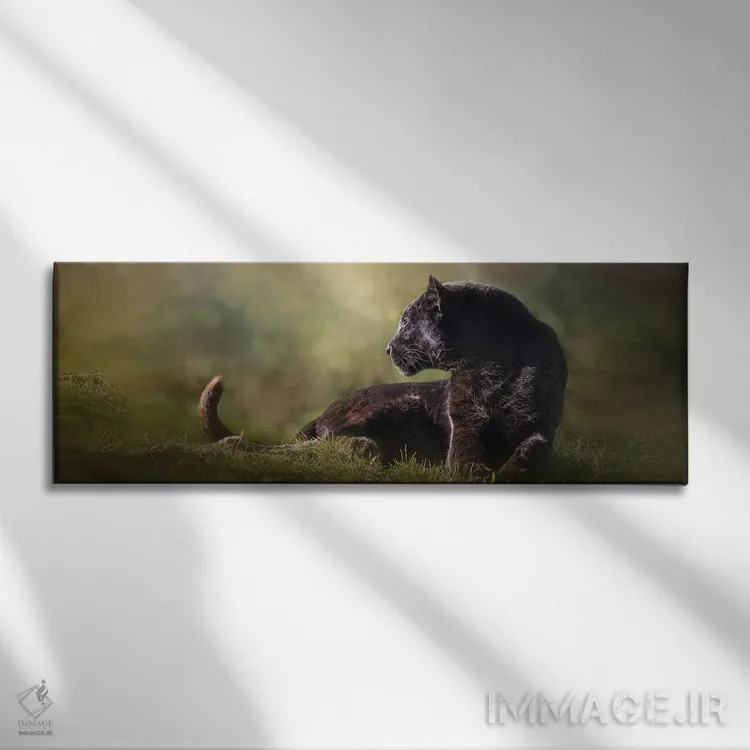 تابلو دکوراتیو پلنگ سیاه در حال نگاه اثر پتسی وینگارت - نمای روبهرو روی دیوار