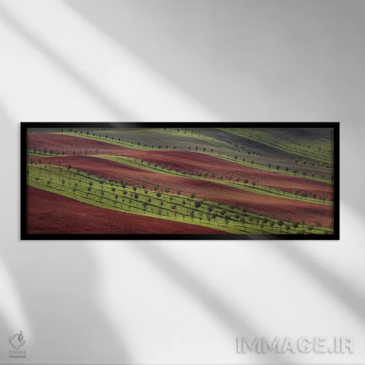 تابلو دکوراتیو راه راه های زیستی ۱ اثر پاول اوسکین - نمای قابدار مشکی