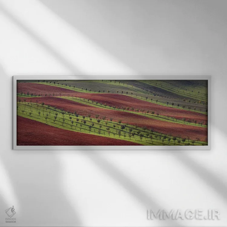 تابلو دکوراتیو راه راه های زیستی ۱ اثر پاول اوسکین - نمای قابدار سفید