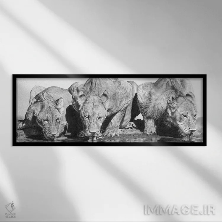 تابلو دکوراتیو باحال برای گربه ها اثر پیتر ویلیامز - نمای قابدار مشکی