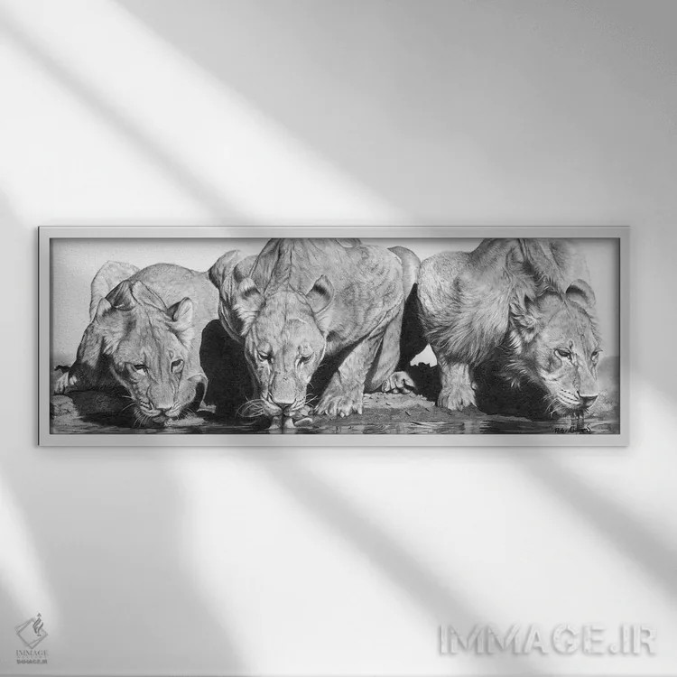 تابلو دکوراتیو باحال برای گربه ها اثر پیتر ویلیامز - نمای قابدار سفید