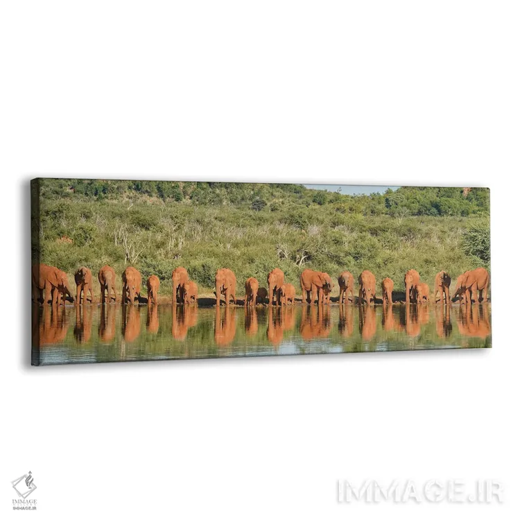 تابلو دکوراتیو خانواده بزرگ فیل های آفریقایی اثر رندا تامپسون - نمای پرسپکتیو محصول
