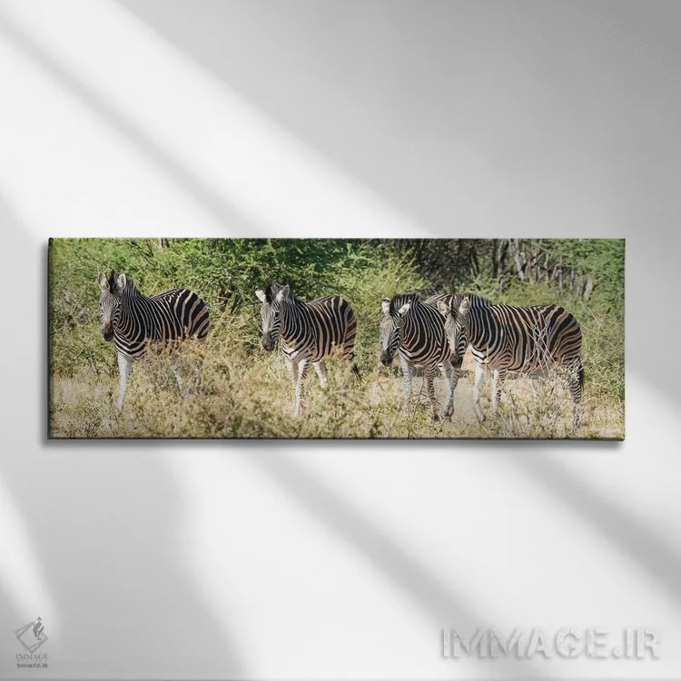 تابلو دکوراتیو چهار گورخر آفریقایی اثر رندا تامپسون - نمای روبهرو روی دیوار