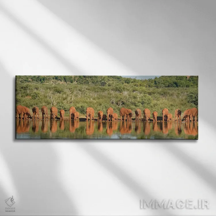 تابلو دکوراتیو خانواده بزرگ فیل های آفریقایی اثر رندا تامپسون - نمای روبهرو روی دیوار