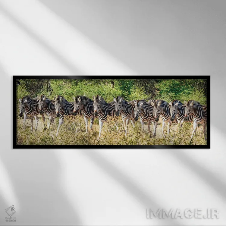 تابلو دکوراتیو خانواده گورخرهای آفریقایی اثر رندا تامپسون - نمای قابدار مشکی