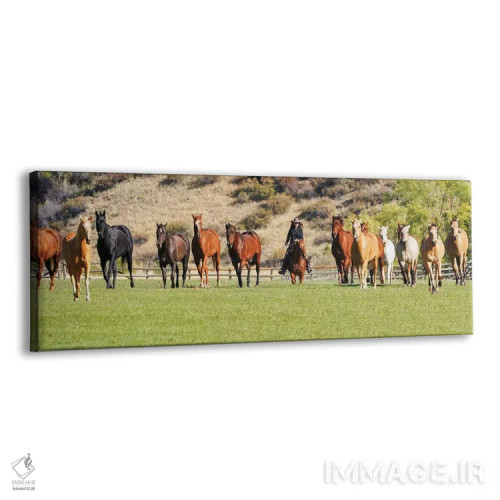 تابلو دکوراتیو محاصره آرام اثر رندا تامپسون - نمای پرسپکتیو محصول