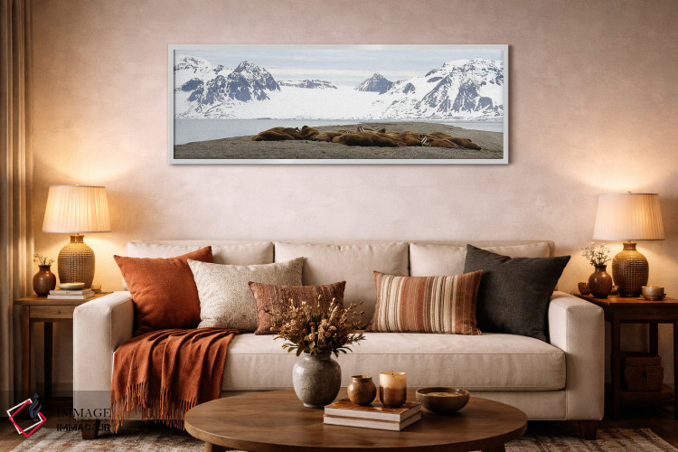 تابلو دکوراتیو کلونی شیر دریایی اثر رامونا هاینر - D3W