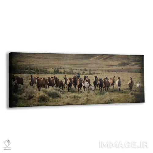 تابلو دکوراتیو محاصره مونتانا اثر رندا تامپسون - نمای پرسپکتیو محصول