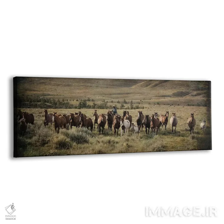 تابلو دکوراتیو محاصره مونتانا اثر رندا تامپسون - نمای پرسپکتیو محصول