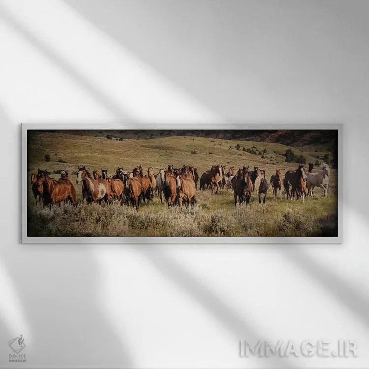 تابلو دکوراتیو صدای رعد و برق اثر رندا تامپسون - نمای قابدار سفید