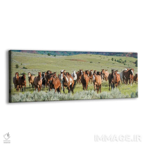 تابلو دکوراتیو گروه در حال فرار اثر رندا تامپسون - نمای پرسپکتیو محصول