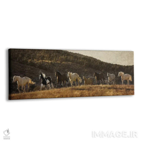 تابلو دکوراتیو رسیدن به دور کوه اثر رندا تامپسون - نمای پرسپکتیو محصول