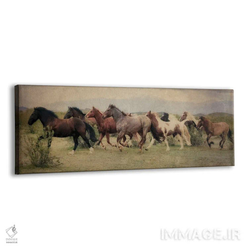 تابلو دکوراتیو دویدن در میان بیابان اثر رندا تامپسون - نمای پرسپکتیو محصول
