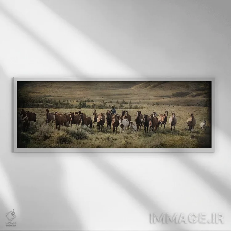 تابلو دکوراتیو محاصره مونتانا اثر رندا تامپسون - نمای قابدار سفید