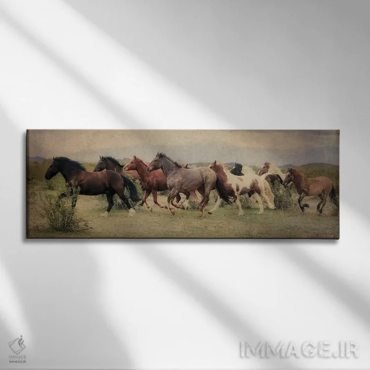 تابلو دکوراتیو دویدن در میان بیابان اثر رندا تامپسون - نمای روبهرو روی دیوار