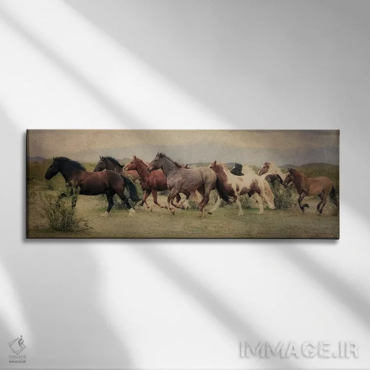 تابلو دکوراتیو دویدن در میان بیابان اثر رندا تامپسون - نمای روبهرو روی دیوار