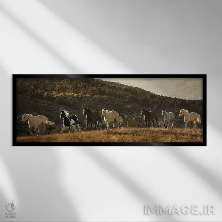 تابلو دکوراتیو رسیدن به دور کوه اثر رندا تامپسون - نمای قابدار مشکی