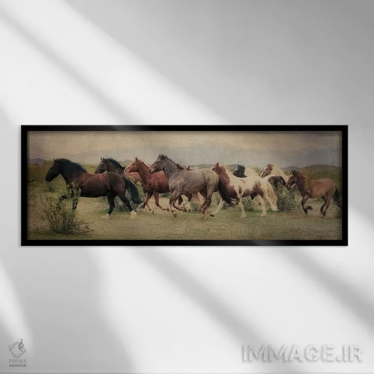 تابلو دکوراتیو دویدن در میان بیابان اثر رندا تامپسون - نمای قابدار مشکی