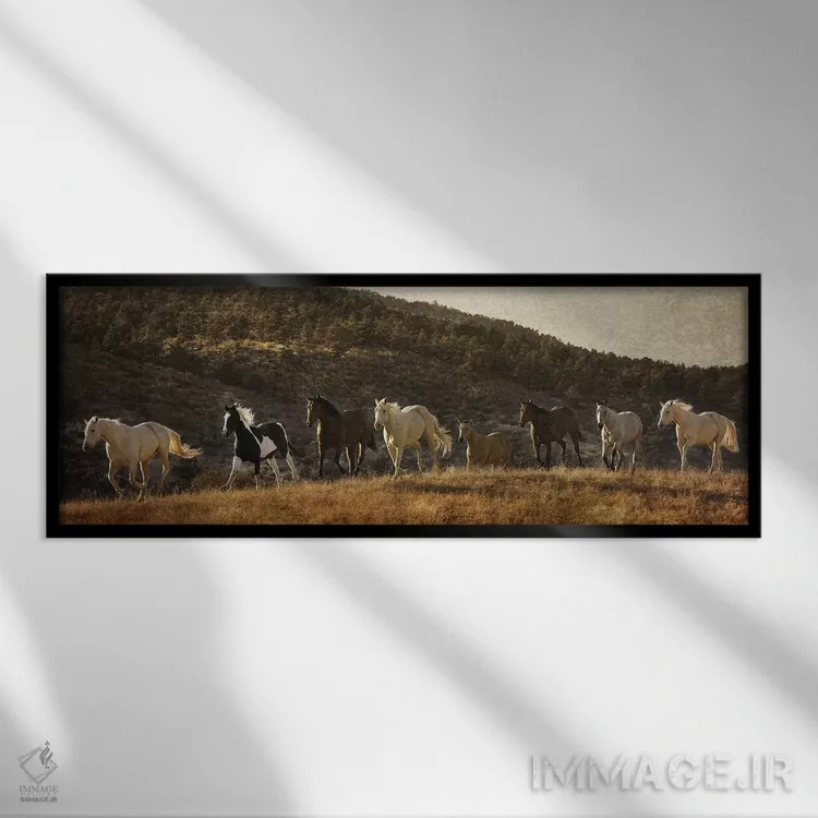 تابلو دکوراتیو رسیدن به دور کوه اثر رندا تامپسون - نمای قابدار مشکی