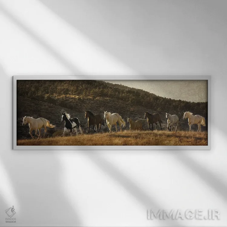 تابلو دکوراتیو رسیدن به دور کوه اثر رندا تامپسون - نمای قابدار سفید