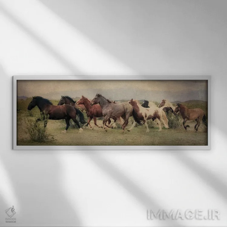 تابلو دکوراتیو دویدن در میان بیابان اثر رندا تامپسون - نمای قابدار سفید