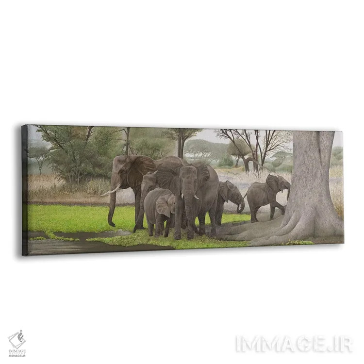 تابلو دکوراتیو فیل ها در سایه اثر راسل هینکلی - نمای پرسپکتیو محصول