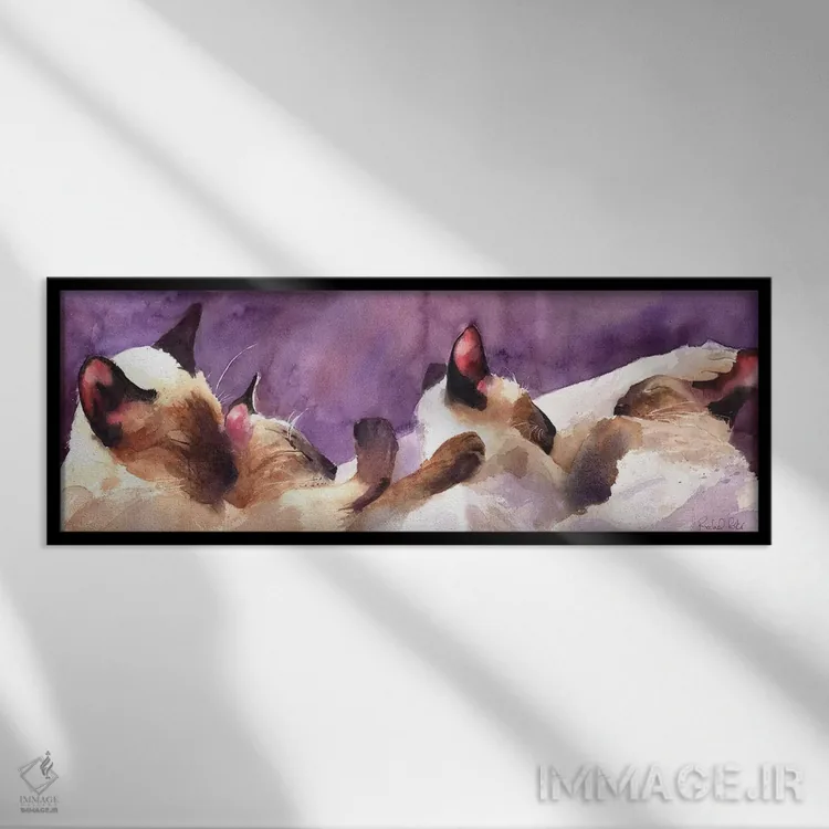 تابلو دکوراتیو نوارهای سیامی اثر ریچل پارکر - نمای قابدار مشکی