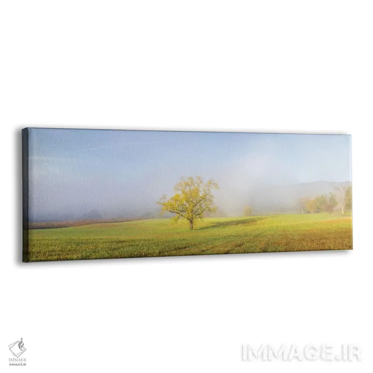 تابلو دکوراتیو Great Smoky Mountains National Park, Tennessee.,درخت… اثر ریچارد و سوزان دی - نمای پرسپکتیو محصول