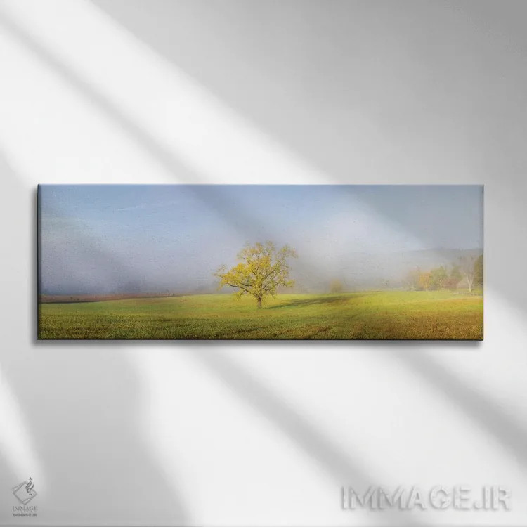 تابلو دکوراتیو Great Smoky Mountains National Park, Tennessee.,درخت… اثر ریچارد و سوزان دی - نمای روبهرو روی دیوار