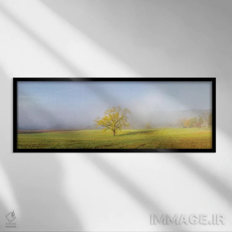 تابلو دکوراتیو Great Smoky Mountains National Park, Tennessee.,درخت… اثر ریچارد و سوزان دی - نمای قابدار مشکی