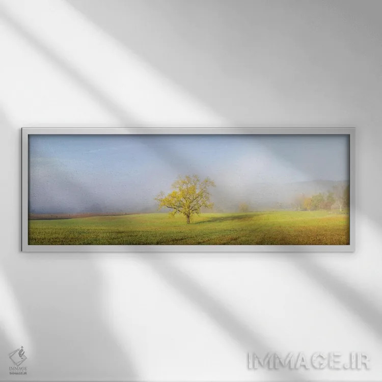 تابلو دکوراتیو Great Smoky Mountains National Park, Tennessee.,درخت… اثر ریچارد و سوزان دی - نمای قابدار سفید