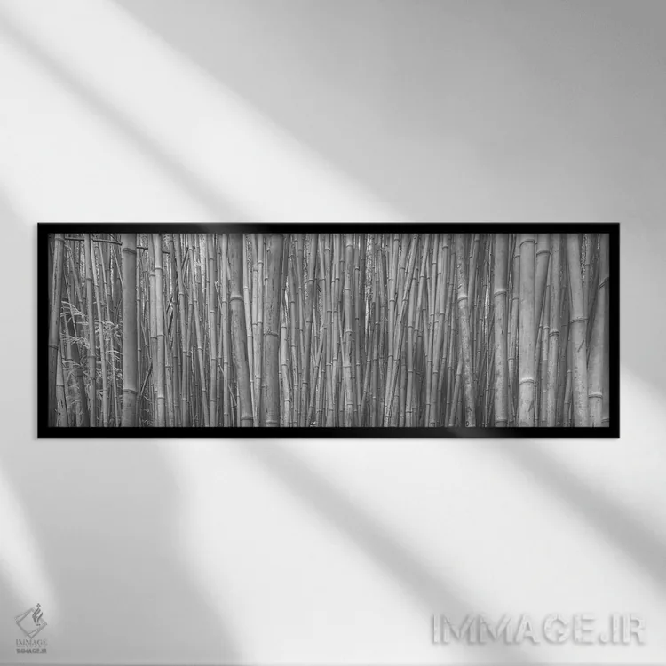 تابلو دکوراتیو جنگل بامبو اثر اسکات بنیون - نمای قابدار مشکی