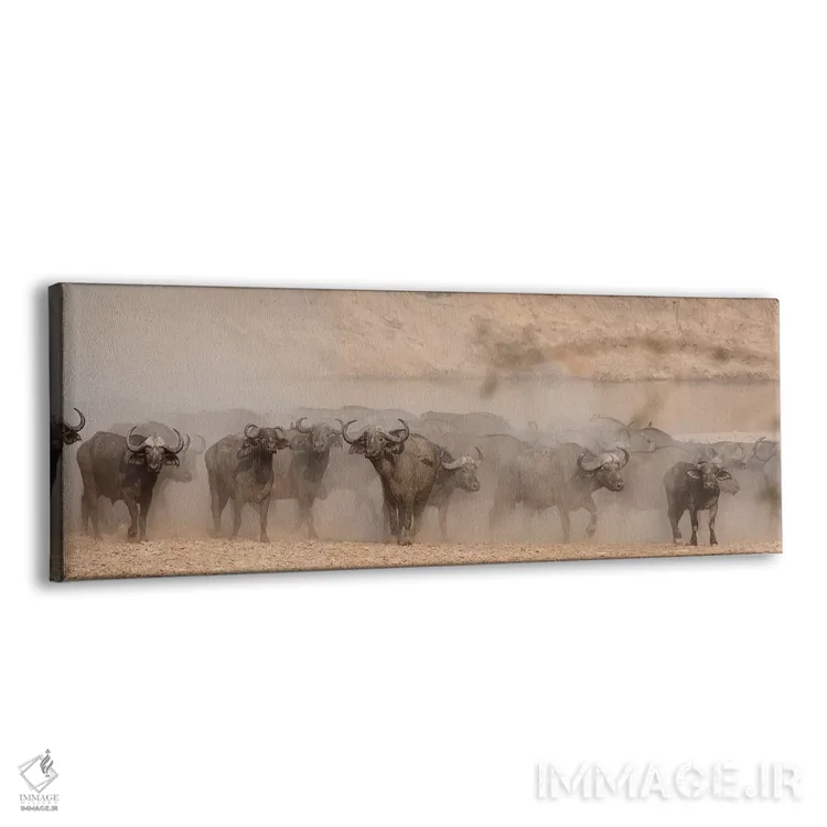 تابلو دکوراتیو بوفالوی ترسیده اثر اسکات بنیون - نمای پرسپکتیو محصول