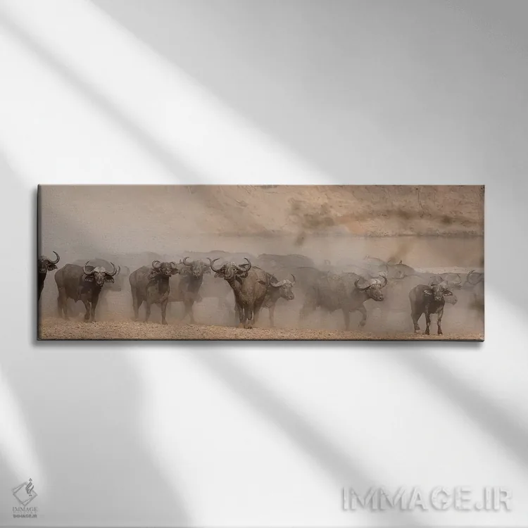 تابلو دکوراتیو بوفالوی ترسیده اثر اسکات بنیون - نمای روبهرو روی دیوار
