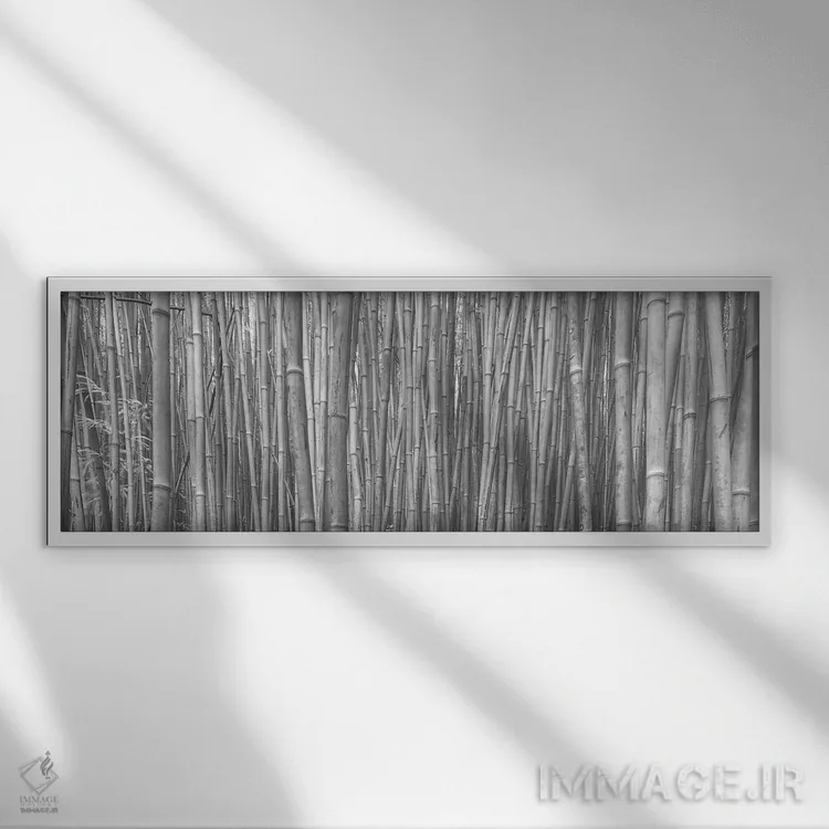 تابلو دکوراتیو جنگل بامبو اثر اسکات بنیون - نمای قابدار سفید