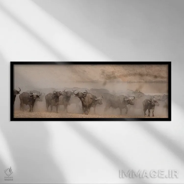 تابلو دکوراتیو بوفالوی ترسیده اثر اسکات بنیون - نمای قابدار مشکی