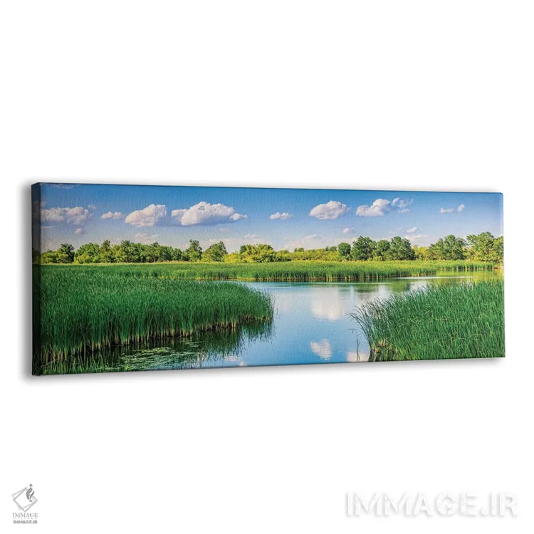 تابلو دکوراتیو بازتاب های میدلند اثر بث شریدن - نمای پرسپکتیو محصول