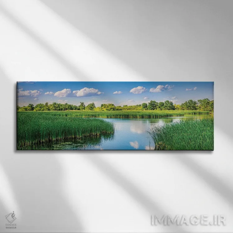 تابلو دکوراتیو بازتاب های میدلند اثر بث شریدن - نمای روبهرو روی دیوار