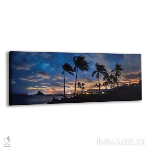 تابلو دکوراتیو ستارگان موکولیئی اثر شان دیوی - نمای پرسپکتیو محصول