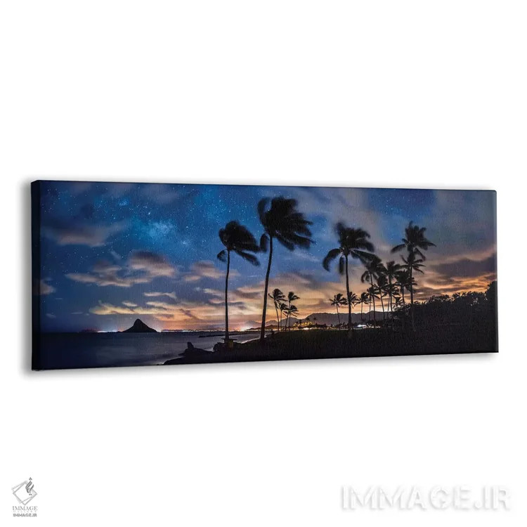 تابلو دکوراتیو ستارگان موکولیئی اثر شان دیوی - نمای پرسپکتیو محصول