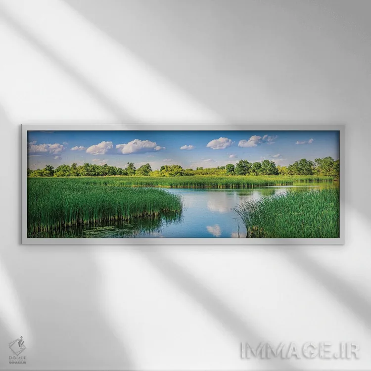 تابلو دکوراتیو بازتاب های میدلند اثر بث شریدن - نمای قابدار سفید