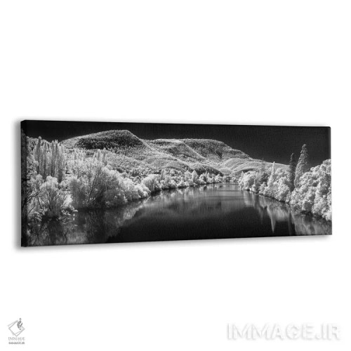 تابلو دکوراتیو نورفولک برفی اثر شان دیوی - نمای پرسپکتیو محصول