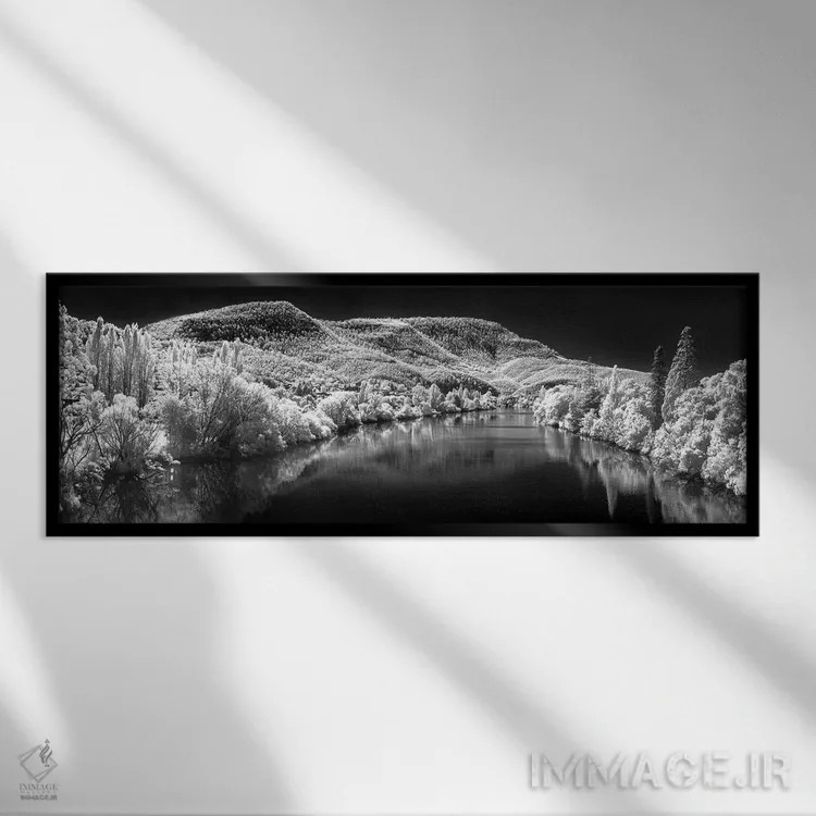 تابلو دکوراتیو نورفولک برفی اثر شان دیوی - نمای قابدار مشکی