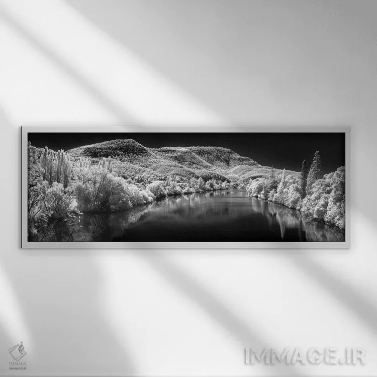 تابلو دکوراتیو نورفولک برفی اثر شان دیوی - نمای قابدار سفید