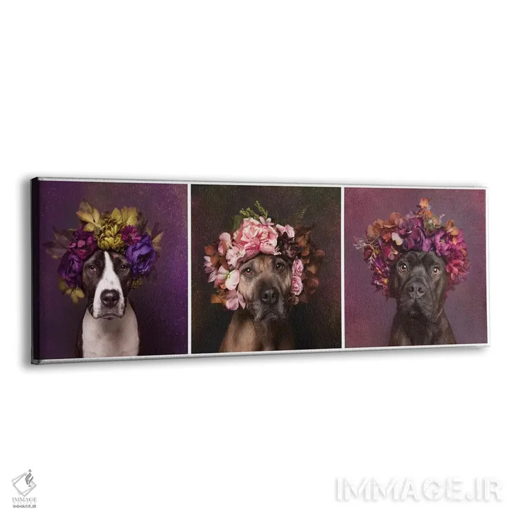 تابلو دکوراتیو Suzie, Sweetie And Chopper,قدرت گل بولداگ: سوزی، سوییتی و چا… اثر سوفی گامان - نمای پرسپکتیو محصول